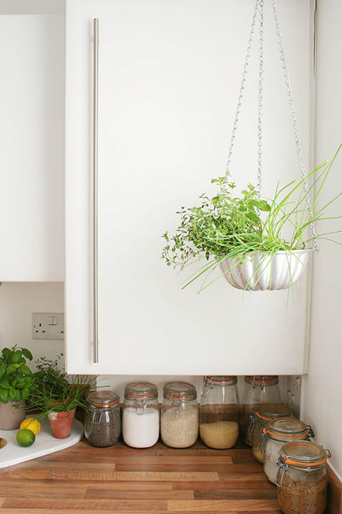 Hanging-planter-with-herbs-in-kitchen