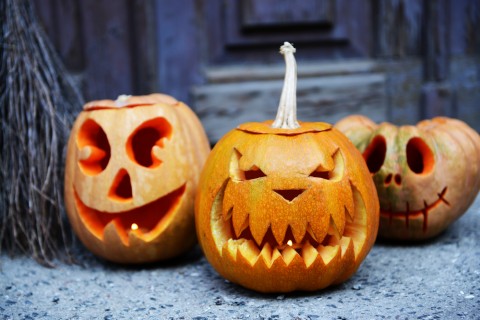 What to do with your pumpkins after Halloween?