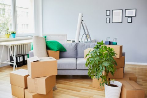 4 Steps to Store Furniture Like a Pro