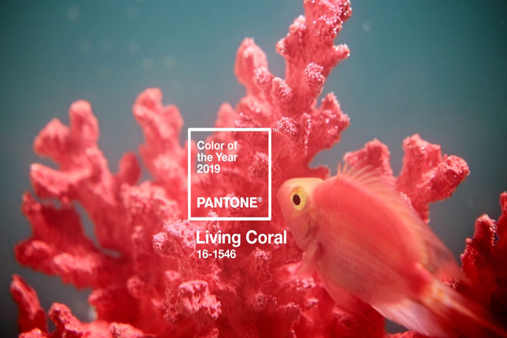 Living Coral – Colour of the Year 2019