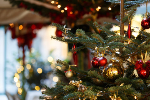 Christmas Trees: Go Real Or Fake?