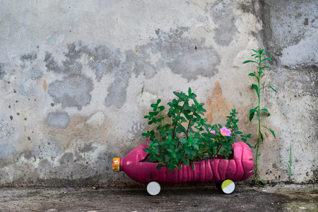5 Awesome DIY Tips for the Garden