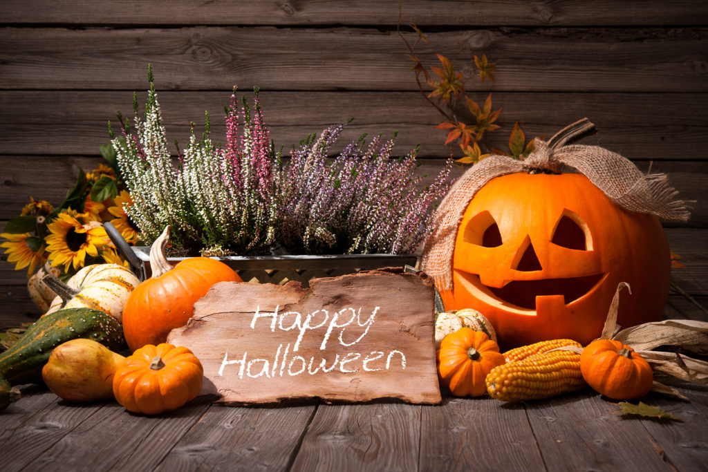 Spooky Wreaths for Halloween