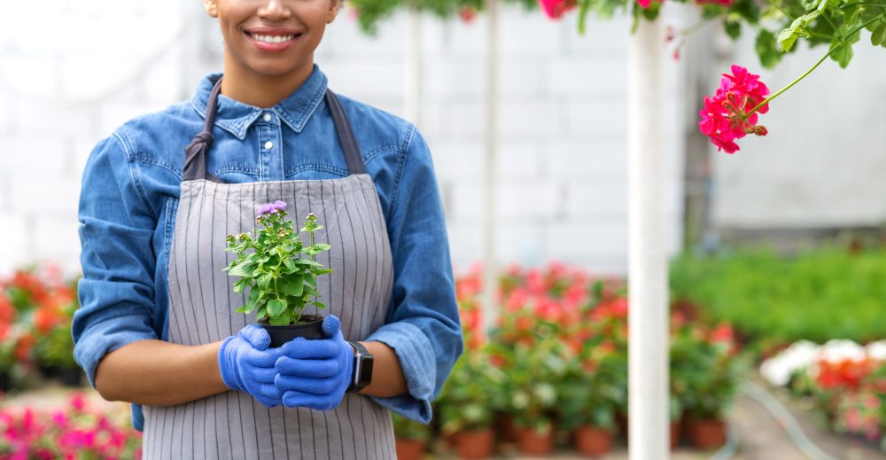 Women growing flowers