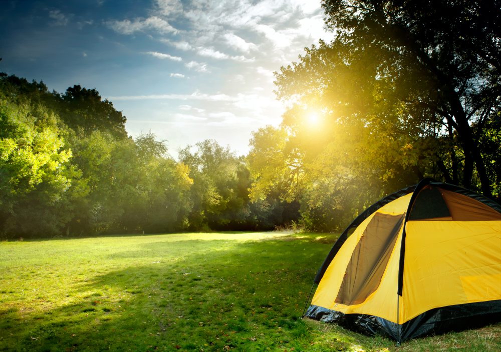 Tent in the forest