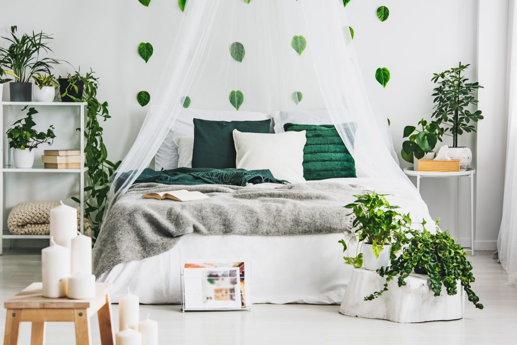 Roar with Pride! Create A Jungle Bedroom