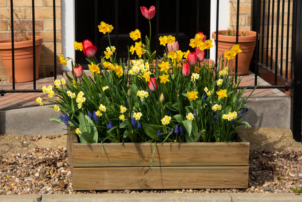 Pot with flowers