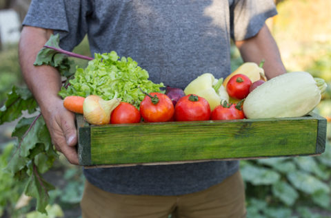 Cultiver ses propres fruits et légumes